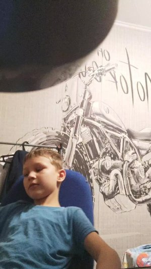 продолжение 25 фактов о моей кошке