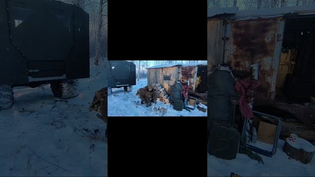 Лесной быт