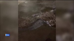 Уфимцы жалуются на прорыв в районе Монумента Дружбы