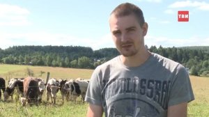 История одних фермеров