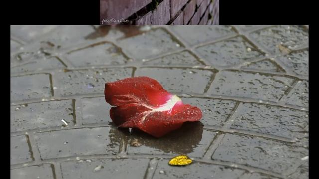 Экспромт