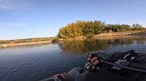 Лещи. Подлещики. Берши. Все Здесь. Рыбалка в Октябре 2024