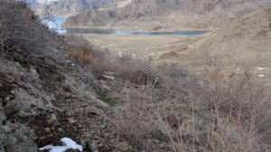 АХОТА НА КЕКЛИК В ГОРАХ КАЗАХСТАНА