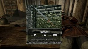 БЕСКОНЕЧНОЕ ЗДОРОВЬЕ.ВСЕ О РЕГЕНЕРАЦИИ ХП В SKYRIM ANNIVERSARY EDITION.