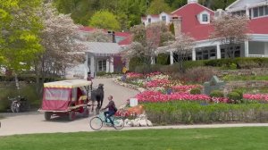 Остров Макинак в мае | Весенние цветы и красивые сады под спокойную музыку для отдыха!...