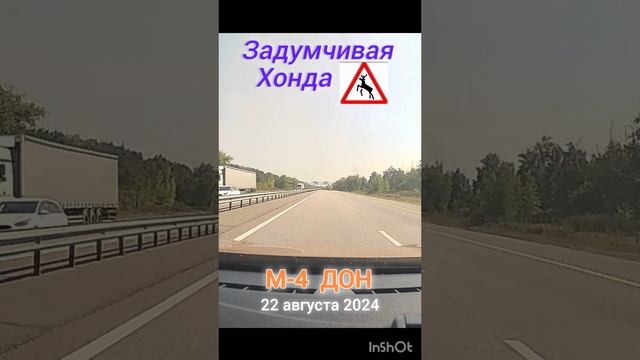 НЕ СПИ ЗА РУЛЕМ / М-4 ДОН #путешествия #дальнобой