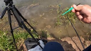 Горчак. Рыбалка наоборот. Ловля на Маховую Удочку. Отличный Выезд. Красный Червяк.