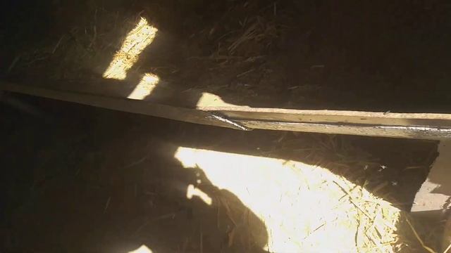 Музробжон Сафаров уйда мол бокиш