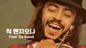 Chuck Mangione  - Feel So Good