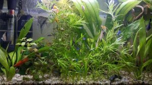 Лучшие Домашний Расслабляющий Аквариум 4К / Best Home Relaxing Aquarium 4K