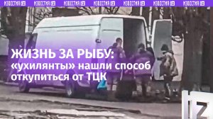 «Гарно в пакетик кладут ***!»: «ухилянты» откупились от фронта рыбой в Николаеве