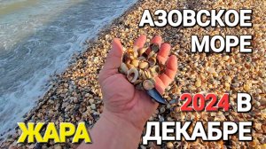 Красота на Азовском море! Практически #ЖАРА в Голубицкой! Центральный пляж 09.12.2024