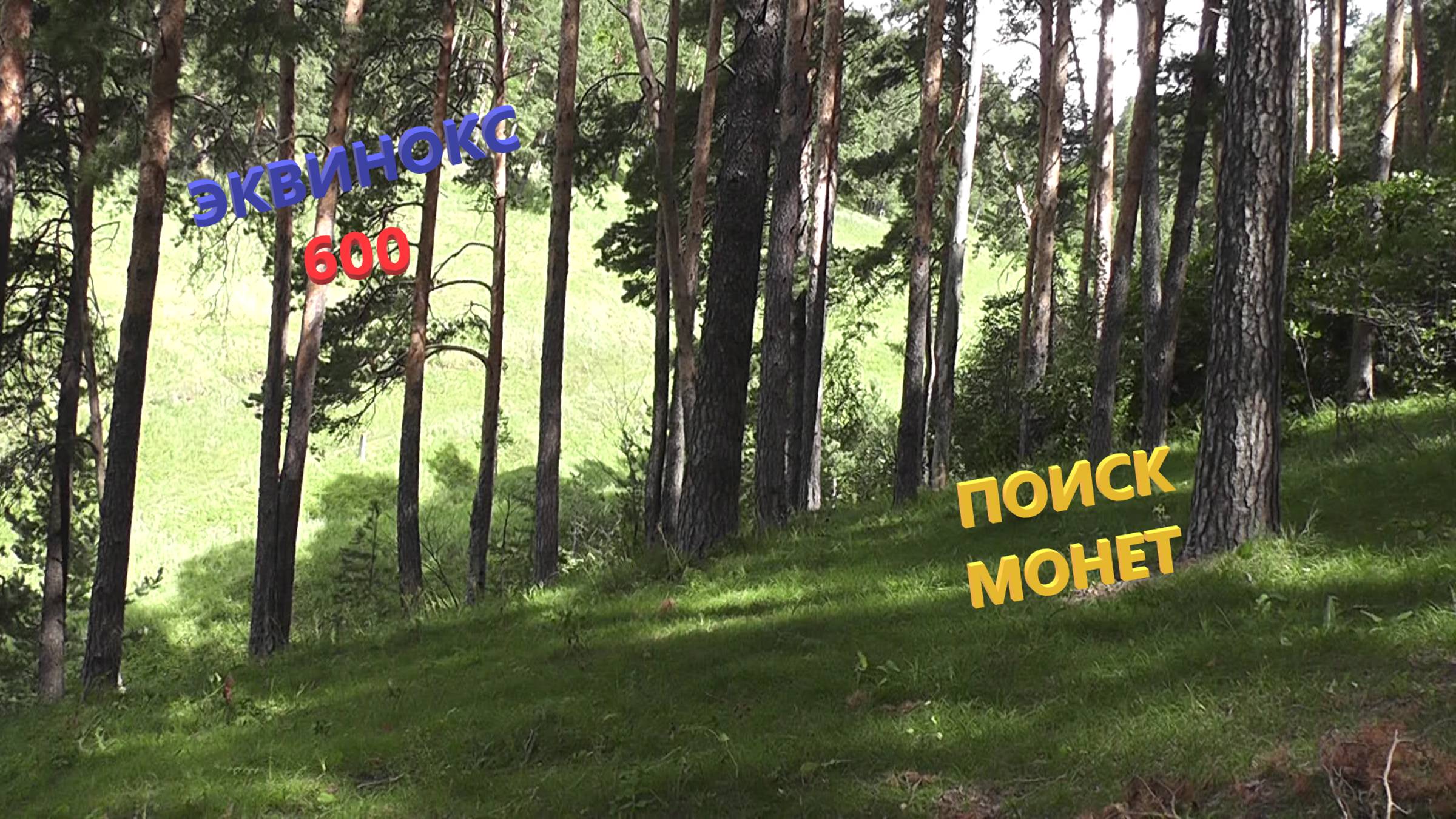 Поиск монет с эквинокс 600 #58