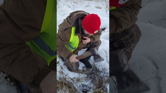 Болотная вода это спасение 🔥
