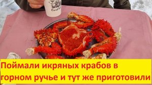 Икряные крабы в горном ручье. Ловим и готовим.