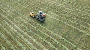 Уборочная 2024 Горьковский район