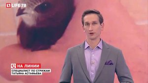 Можно ли по фотографиям определить,что это за птица?