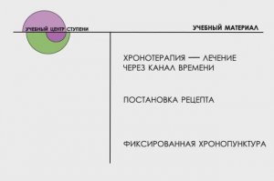 Фиксированная хронотерапия постановка рецепта. Су Джок