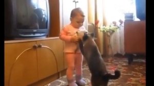 Как кошка отобрала котенка у маленькой девочки!