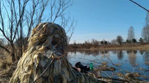 Учусь манить селезня утки.