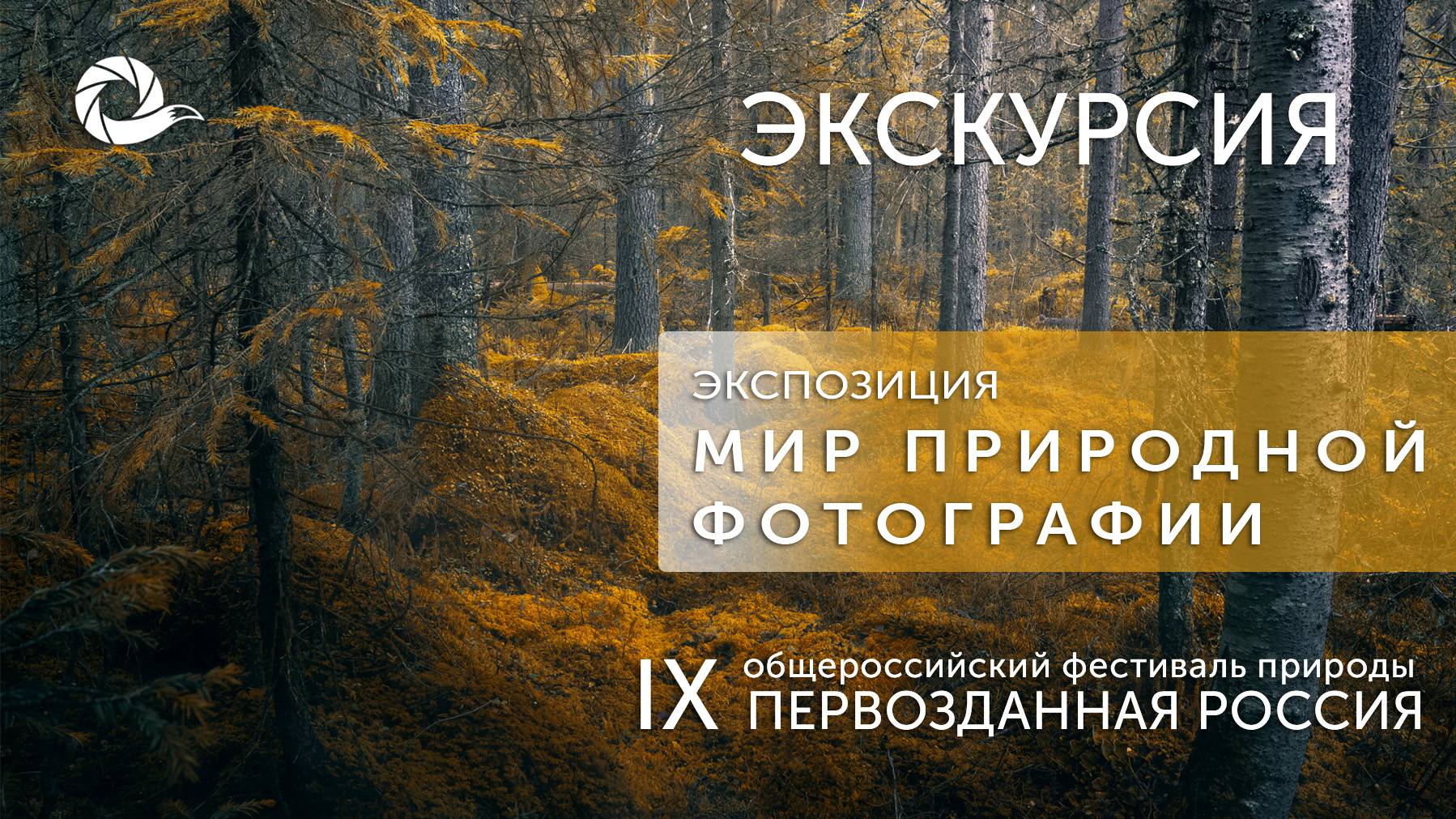Экскурсия по IX Фестивалю. Мир природной фотографии