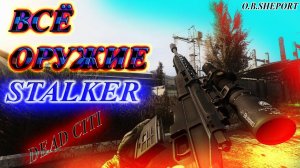 ОБЗОР ОРУЖИЯ В ИГРЕ STALKER - МЁРТВЫЙ ГОРОД.