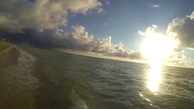 MiamiBeach_FishUnderwater