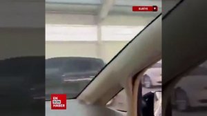 Сирийские СМИ показали, как выглядит гараж беглого Башара Асада