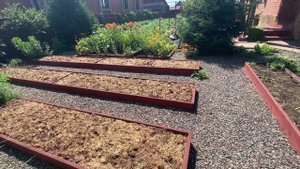 Переносим сендвич гряду.  Поэтапные работы.  3 августа 2021