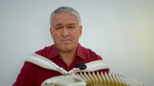 Песня под баян от ВАЛЕРИЯ СЁМИНА ❤️ Русский романс "У ЦЕРКВИ СТОЯЛА КАРЕТА". Душевно и красиво ❤️