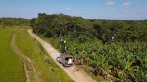 Dji Agras T16 com Agras T20 Juntos pulverização Banana