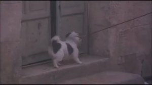 Музыка из фильма “Шоколад“
