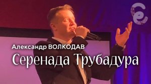 "Серенада Трубадура" Александр Волкодав - Егорьевский музей 7.12.24 #голос #концерт #солнце #луч