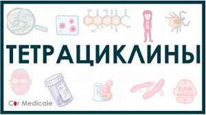 Тетрациклины - препараты, механизм действия, побочные эффекты (ингибиторы синтеза белка)