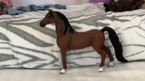 Масти лошадей 1 часть