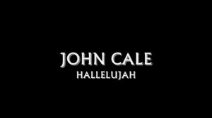 John Cale - HALLELUJAH - Leonard Cohen Cover