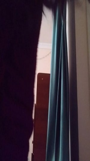 всем привет с вами ясмина Я делаю уроки по биологии я вам покажу и по русскому