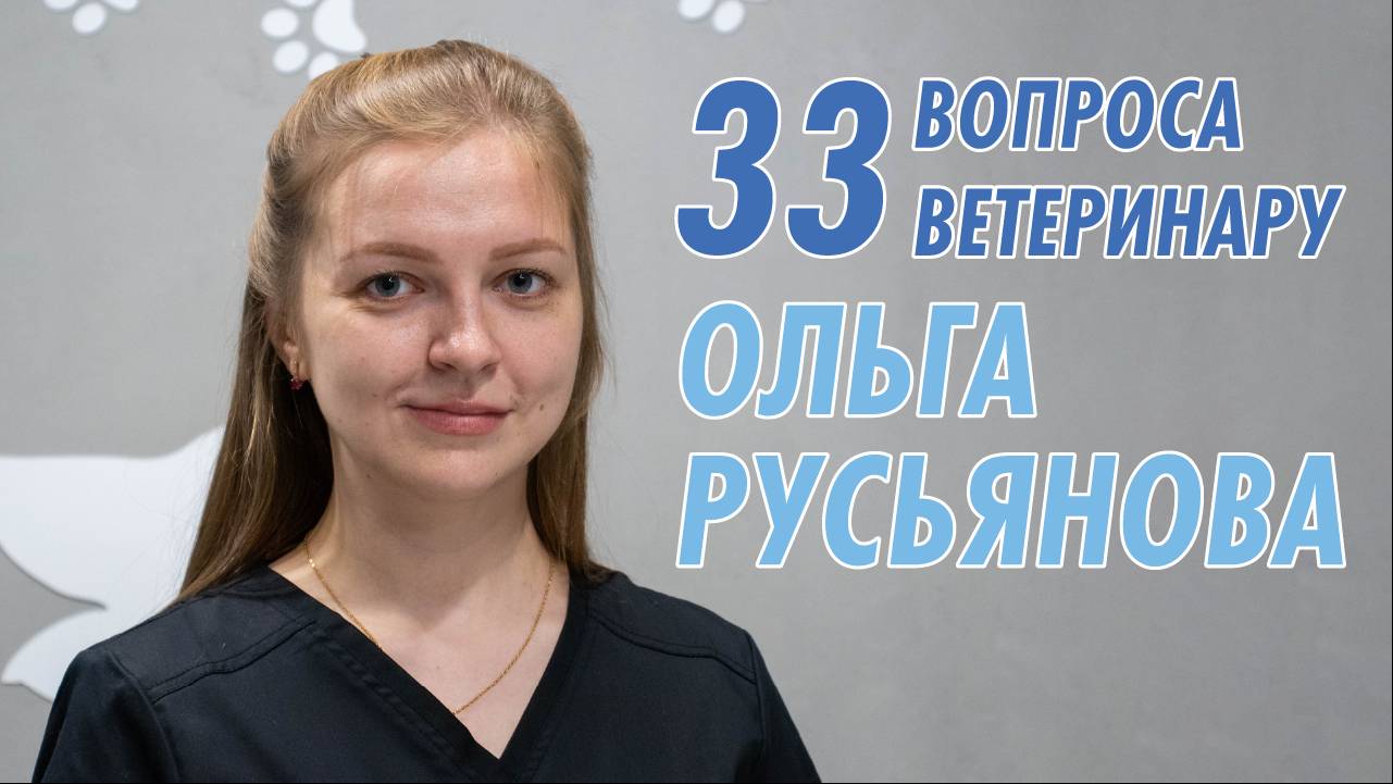 33 Вопроса профессионалу - Ветеринар