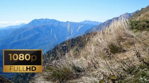 Вид на горы. Расслабляющие звуки сверчков. / Mountain view. 1 час. FullHD.