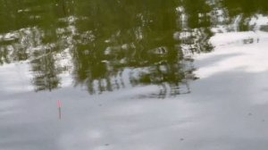 С чем ходить на РЫБАЛКУ. Что с собой Брать. Ловля на поплавок. Московский Пруд