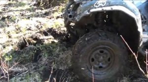 Renegade 800 and grizzly 660 in mud