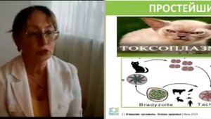 Паразитолог инфекционист Елена Каташова