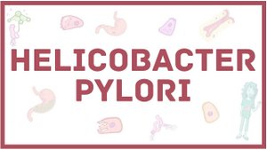 Helicobacter pylori - хеликобактер - симптомы, диагностика, лечение, микробиология