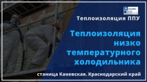 Теплоизоляция низкотемпературного холодильника. Теплоизоляция ППУ. Тermoizol-ppu. Альянс Проф.