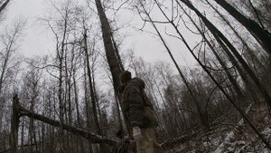Охота на Куницу .С ЛАЙКОЙ РУССКО ЕВРОПЕЙСКОЙ