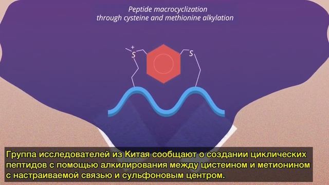 Поиск химической пары [#ChemSci Pick of the Week]