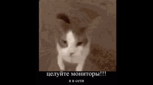 СТРИМ МИНИ МИНИ НА НОЧЬ