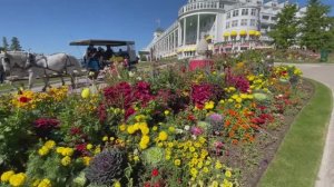 Экскурсия по саду острова Макинак 2023 ｜ Пешая экскурсия по саду с криками птиц и звуками природы!..