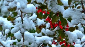 ❄️ ЗИМНЯЯ БЕЗУМНО КРАСИВАЯ МУЗЫКА ДЛЯ СНА 🎵 РАССЛАБЛЯЮЩАЯ ИНСТРУМЕНТАЛЬНАЯ РЕЛАКС МУЗЫКА ДЛЯ ДУШИ!