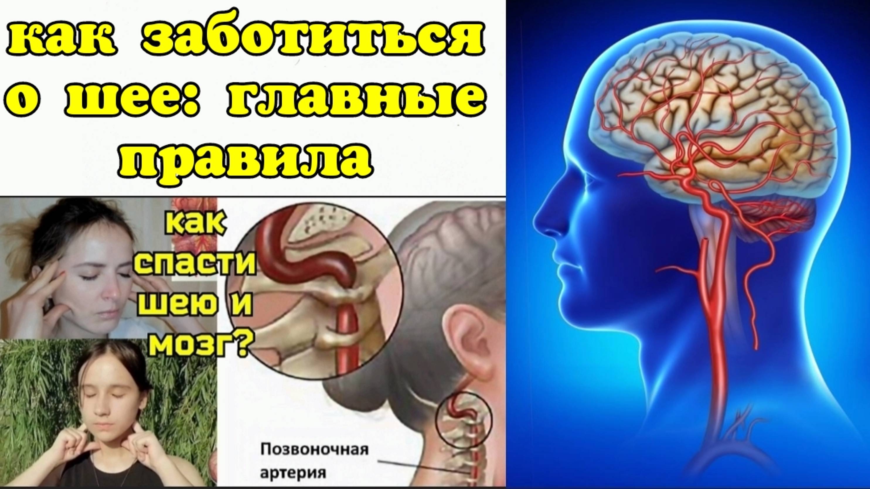 Мозг живёт благодаря сонным и позвоночным артериям шеи. Главное упражнение для укрепления шеи